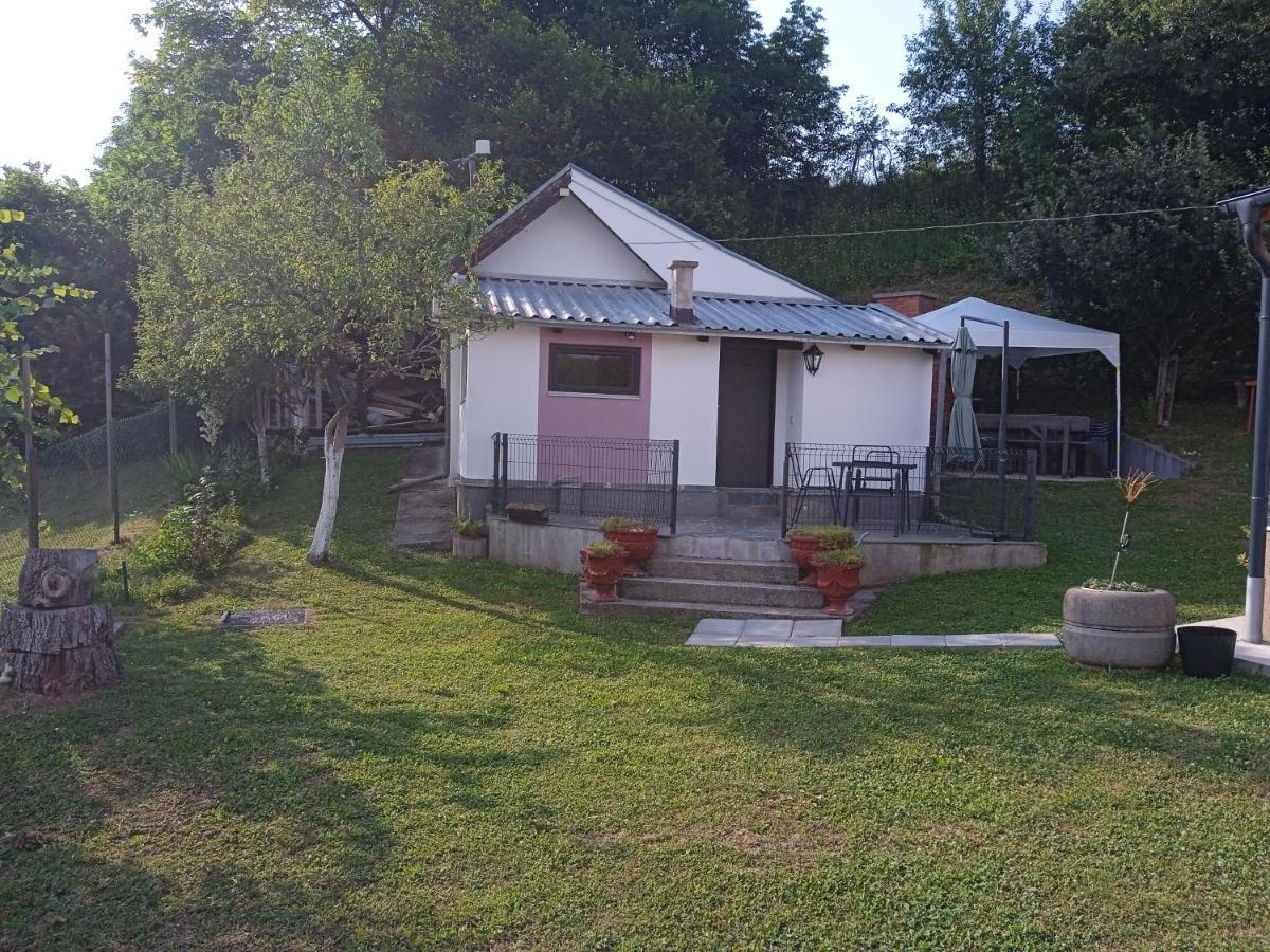 Bihać Apartman Alina&Alan מראה חיצוני תמונה